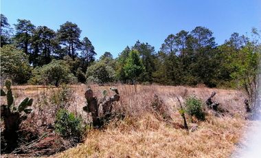 Terreno en San Jose Ocotillos Huasca de Ocampo Hgo. 2125 m2