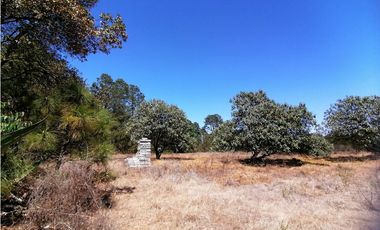 Terreno en San Jose Ocotillos Huasca de Ocampo Hgo. 2125 m2