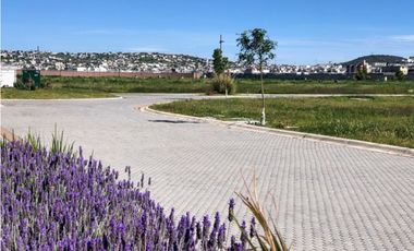 Terreno en El Reencuentro L.38, Pachuca, Hidalgo.