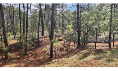 Terreno en Huasca de Ocampo, Hgo. las Peras Quinta Andrea 4000 m2
