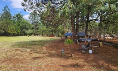 Terreno en Huasca de Ocampo, Hgo. las Peras Quinta Andrea 4000 m2