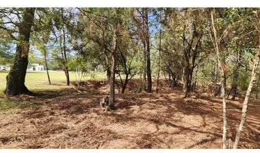 Terreno en Huasca de Ocampo, Hgo. las Peras Quinta Andrea 4000 m2