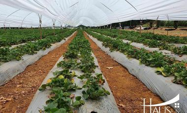 Rancho o Quinta cerca de Ixtapan de la Sal