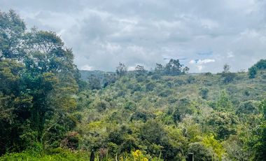 Vendo Espectacular Finca en La Calera, Cundinamarca