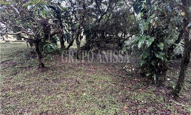 Se Vende Terreno Plano en Zona Alta de Altos del Maria