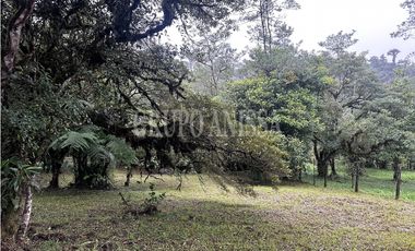 Se Vende Terreno Plano en Zona Alta de Altos del Maria