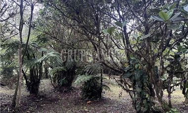 Se Vende Terreno Plano en Zona Alta de Altos del Maria