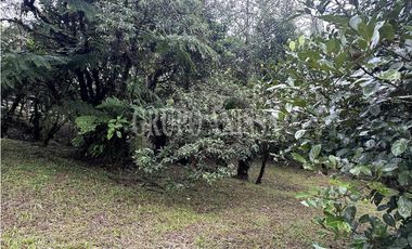 Se Vende Terreno Plano en Zona Alta de Altos del Maria