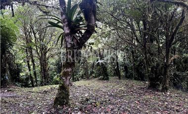 Se Vende Terreno Plano en Zona Alta de Altos del Maria