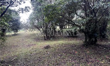 Se Vende Terreno Plano en Zona Alta de Altos del Maria