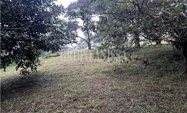 Se Vende Terreno Plano en Zona Alta de Altos del Maria