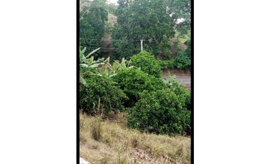 Se vende cabaña en Las Minas de Herrera.