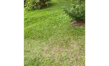 EN VENTA FINCA CON LOTE ADICIONAL EN AMAG ANTIOQUIA