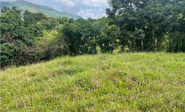 EN VENTA FINCA CON LOTE ADICIONAL EN AMAG ANTIOQUIA