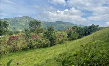 EN VENTA FINCA CON LOTE ADICIONAL EN AMAG ANTIOQUIA