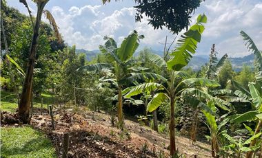 EN VENTA FINCA CON LOTE ADICIONAL EN AMAG ANTIOQUIA