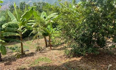 EN VENTA FINCA CON LOTE ADICIONAL EN AMAG ANTIOQUIA