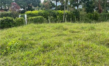 EN VENTA FINCA CON LOTE ADICIONAL EN AMAG ANTIOQUIA