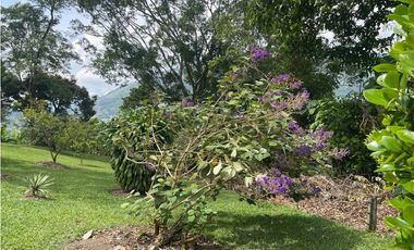 EN VENTA FINCA CON LOTE ADICIONAL EN AMAG ANTIOQUIA