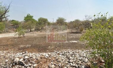 Puebla,San Juan Ixcaquixtla,Barrio de Dolores,Terreno ,Venta