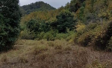 TERRENO Pre cordillerano de 671 Hectáreas en sector Linares