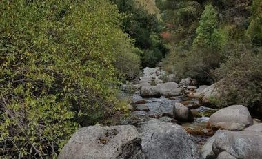 TERRENO Pre cordillerano de 671 Hectáreas en sector Linares