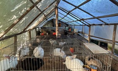 5000 m² PROPIOS • USD 59.000