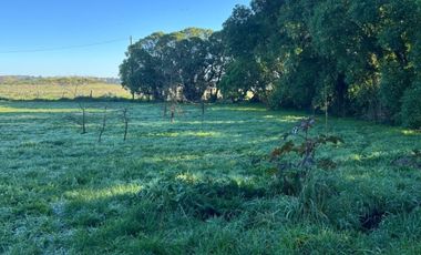 5000 m² PROPIOS • USD 59.000