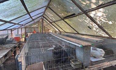 5000 m² PROPIOS • USD 59.000