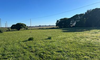 5000 m² PROPIOS • USD 59.000