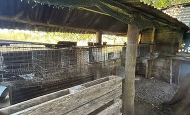 5000 m² PROPIOS • USD 59.000