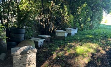 5000 m² PROPIOS • USD 59.000