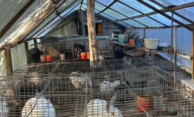 5000 m² PROPIOS • USD 59.000