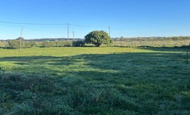 5000 m² PROPIOS • USD 59.000