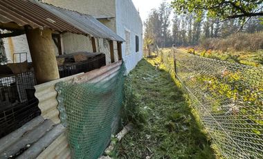 5000 m² PROPIOS • USD 59.000