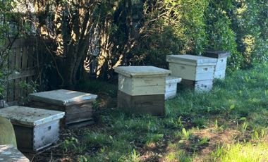 5000 m² PROPIOS • USD 59.000