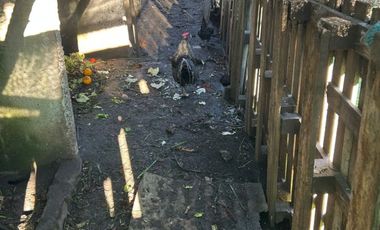 5000 m² PROPIOS • USD 59.000