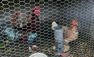 5000 m² PROPIOS • USD 59.000