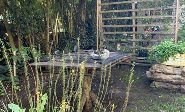 5000 m² PROPIOS • USD 59.000