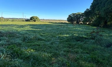 5000 m² PROPIOS • USD 59.000