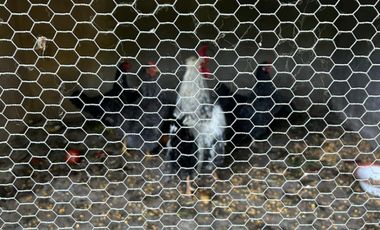 5000 m² PROPIOS • USD 59.000