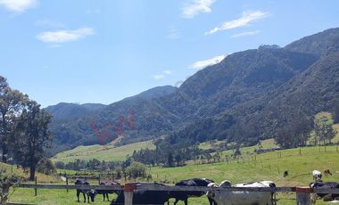 Venta excepcional: Finca ganadera de 11 fanegadas