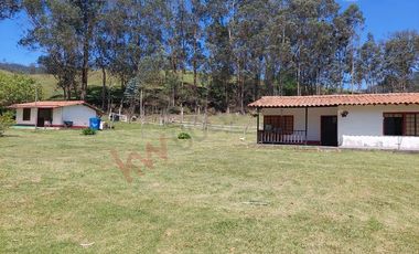 Venta excepcional: Finca ganadera de 11 fanegadas