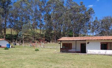Venta excepcional: Finca ganadera de 11 fanegadas