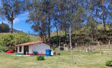 Venta excepcional: Finca ganadera de 11 fanegadas