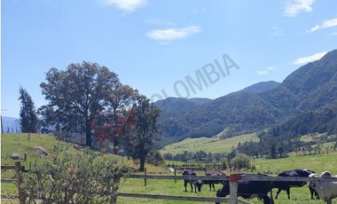 Venta excepcional: Finca ganadera de 11 fanegadas