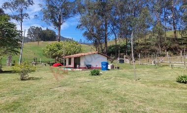 Venta excepcional: Finca ganadera de 11 fanegadas
