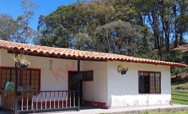 Venta excepcional: Finca ganadera de 11 fanegadas