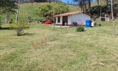 Venta excepcional: Finca ganadera de 11 fanegadas
