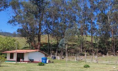 Venta excepcional: Finca ganadera de 11 fanegadas